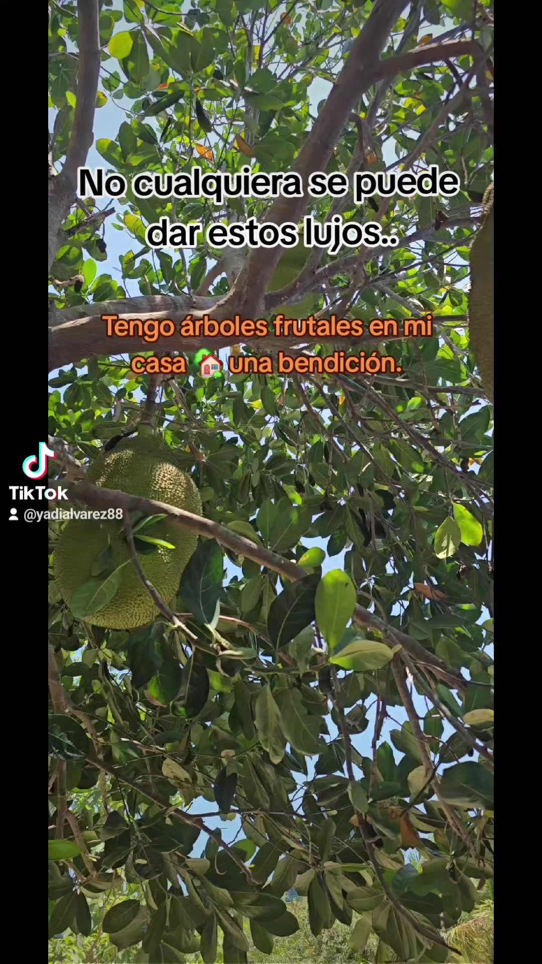 @𓃰𝓨𝓪𝓭𝓲 ♡★