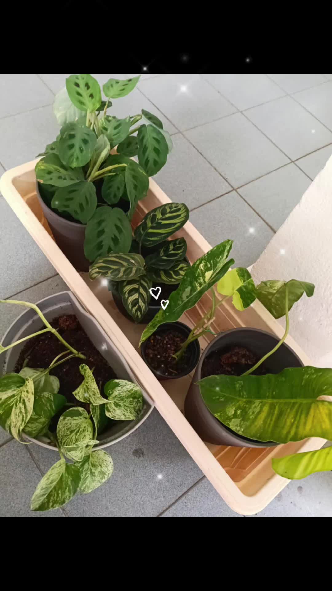 @Wendy63shop