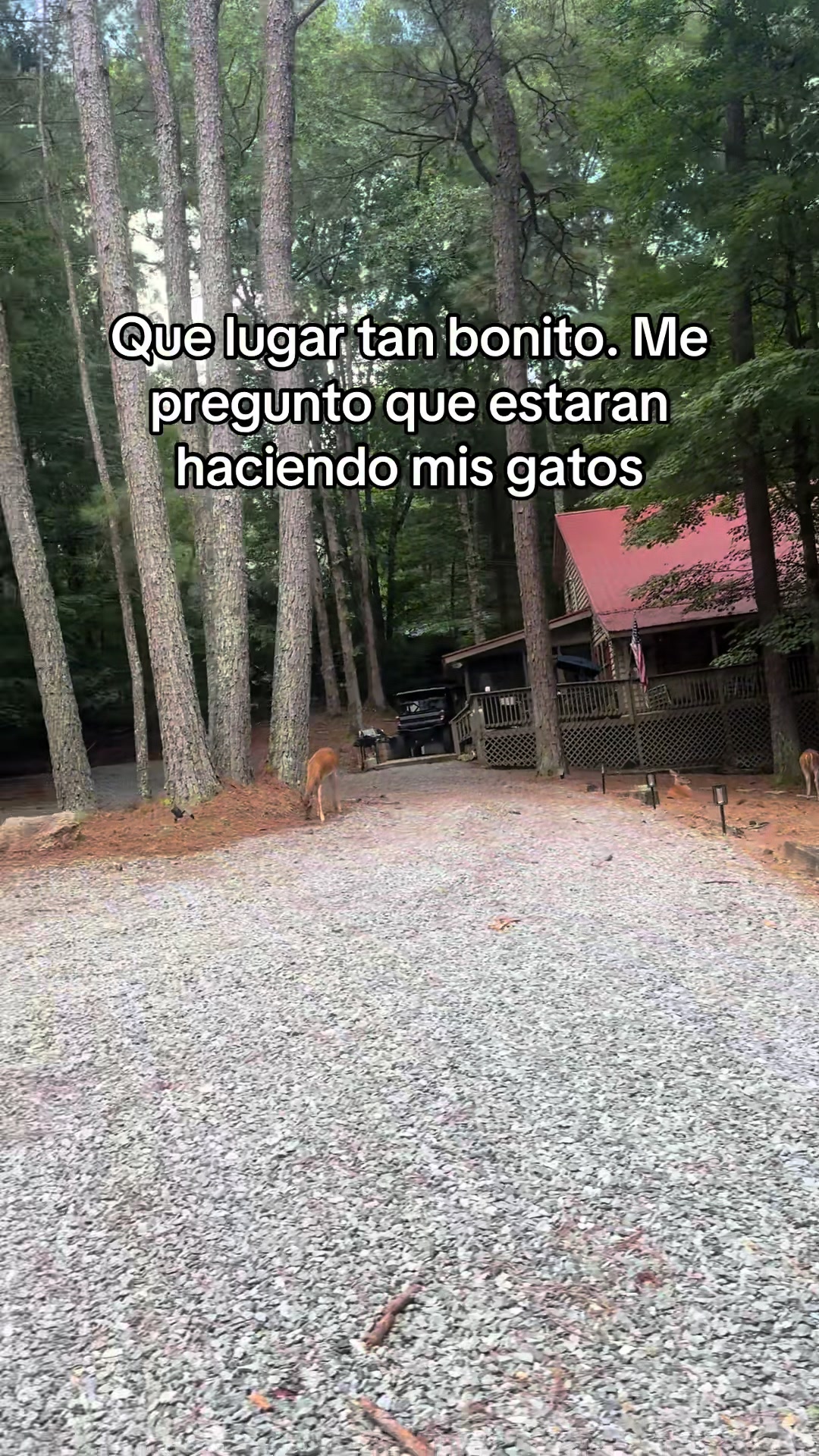 @Sami🍒