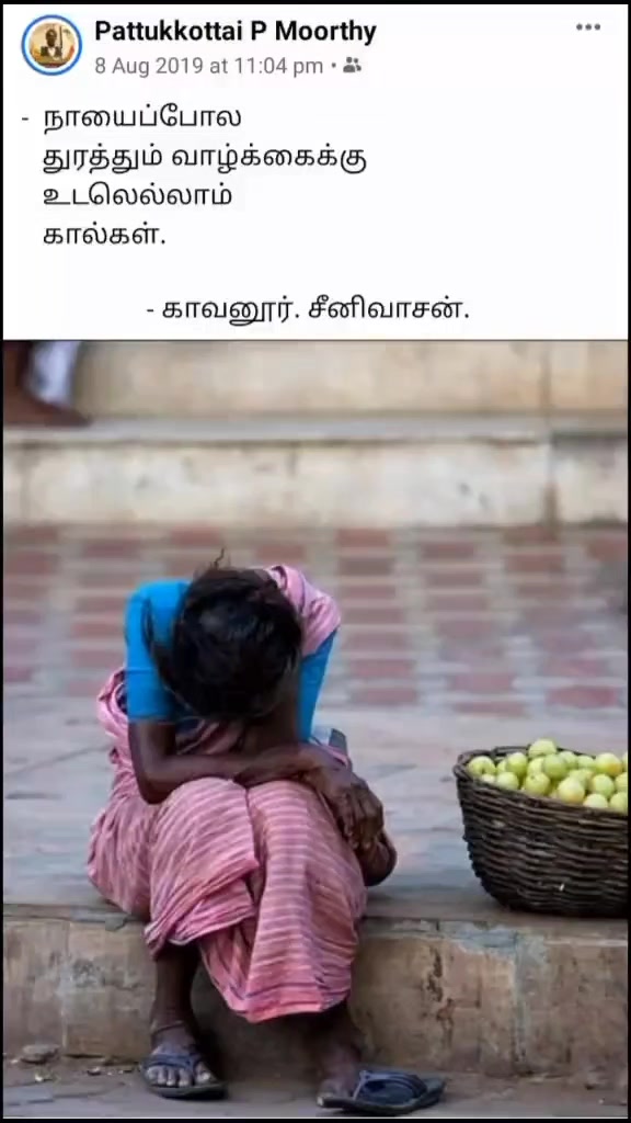 @Pattukkottai P Moort