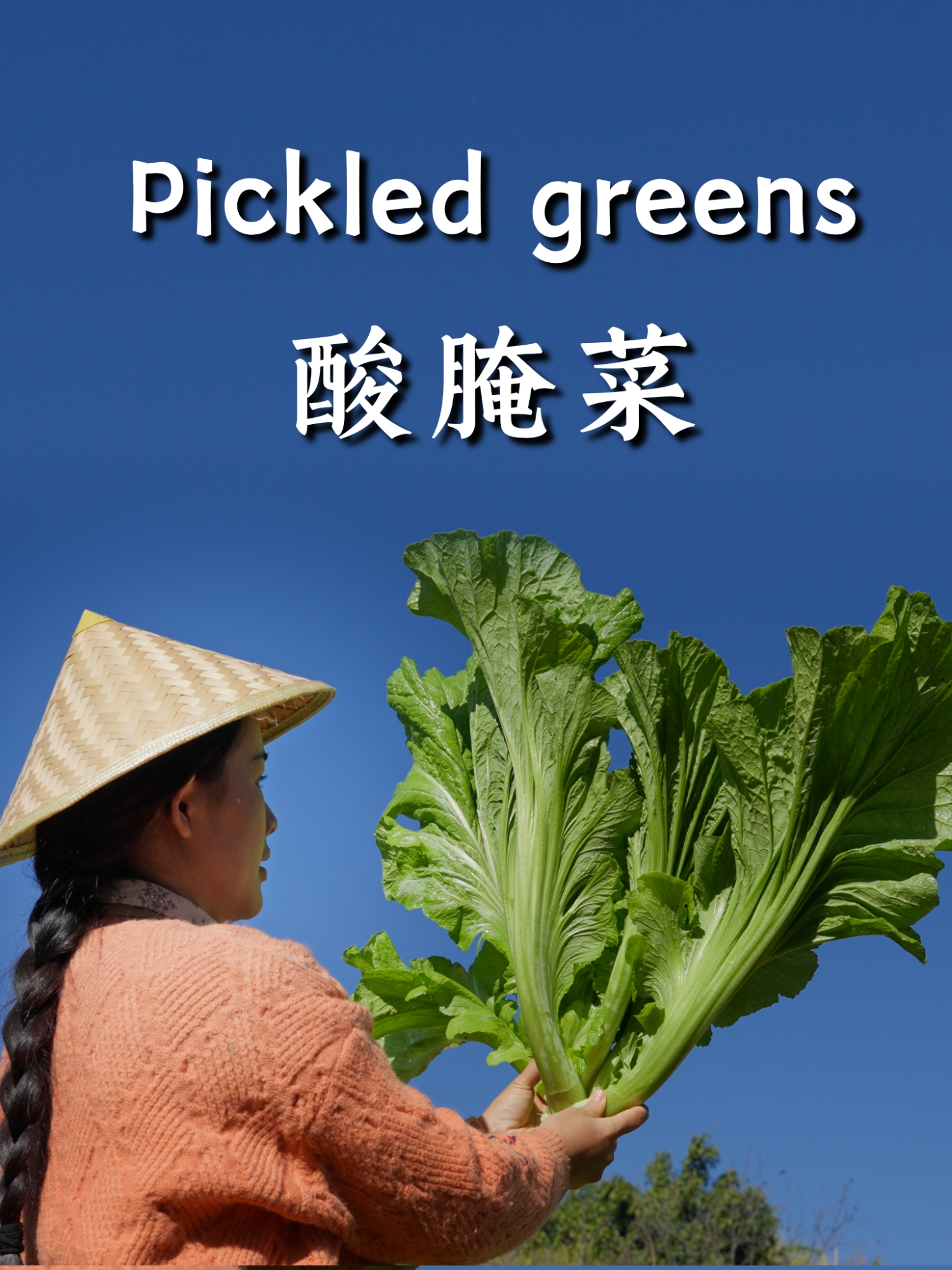 @滇西小哥 Dianxixiaoge