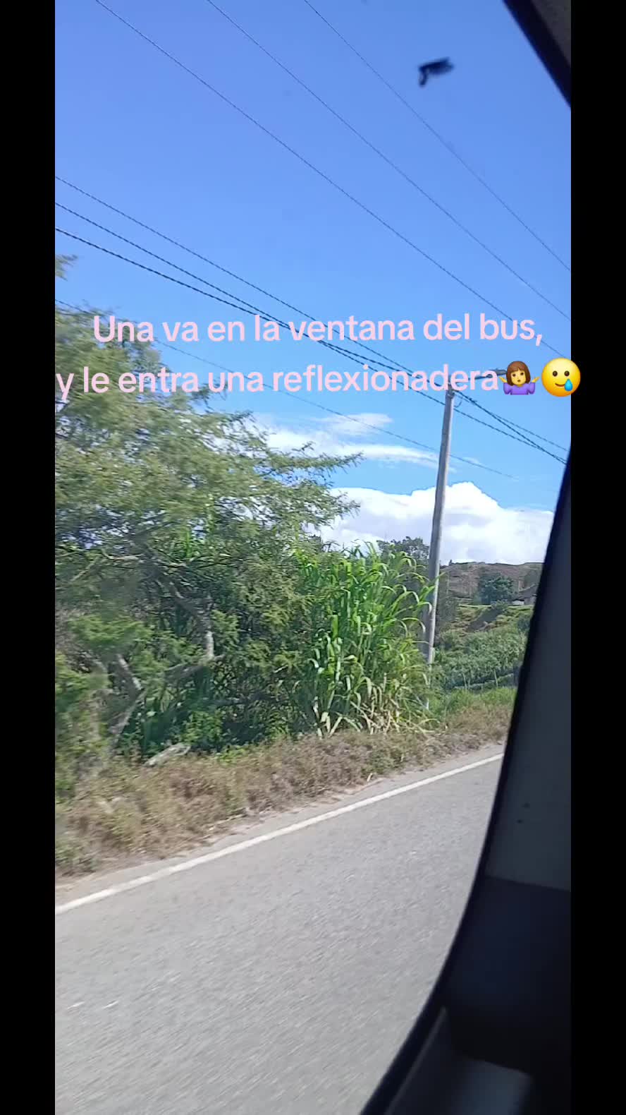 @Leyla♡