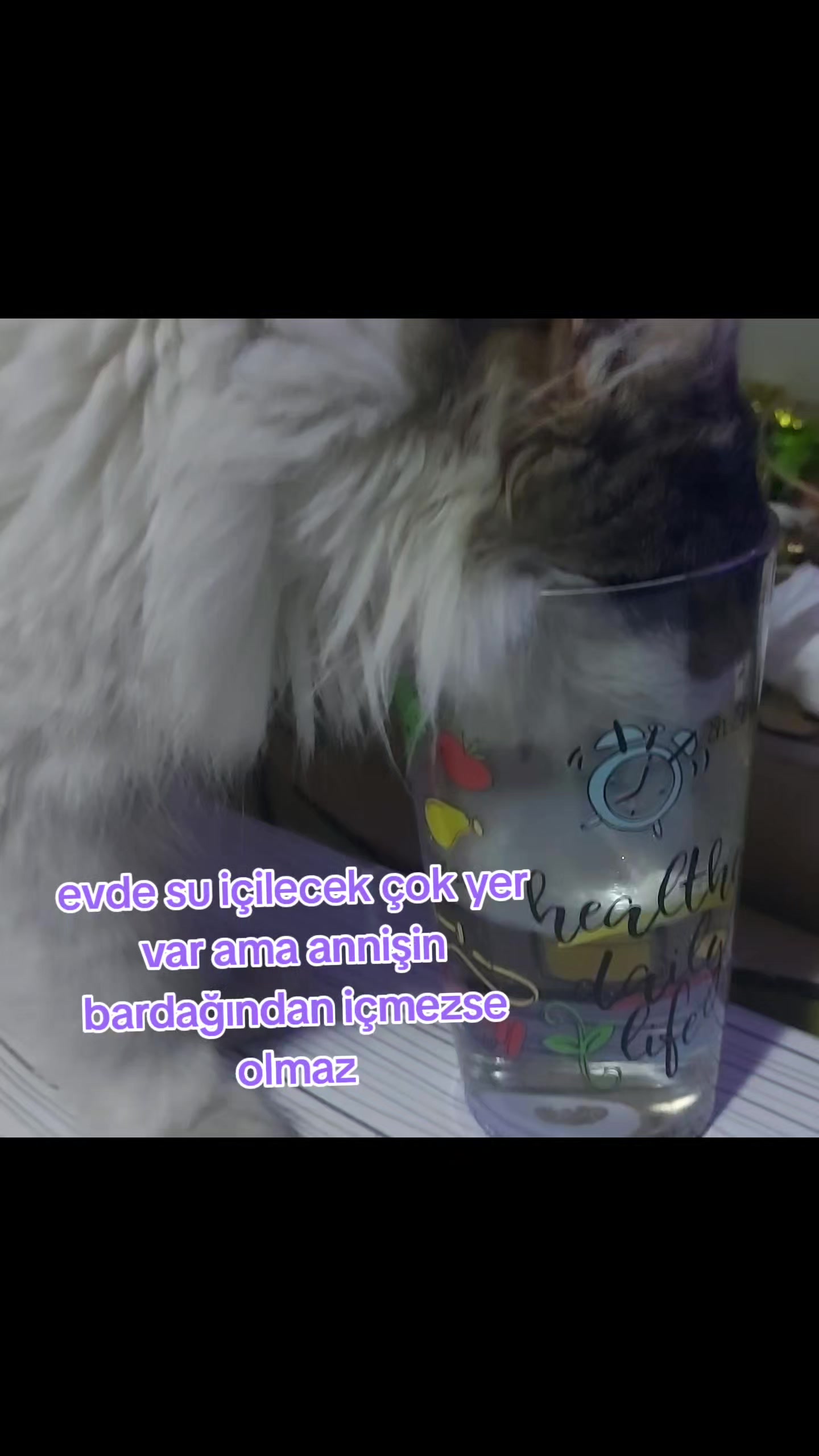 @GoncaBıçakUlaştısoy