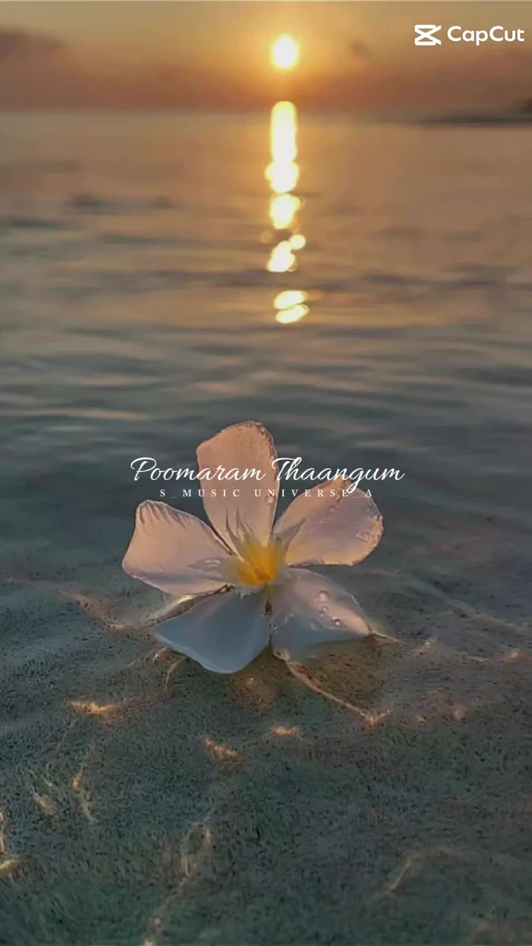 @Suganthi