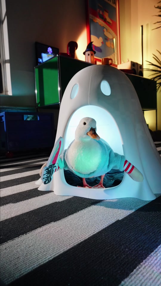 @ducks_in_space🪿🪿💦