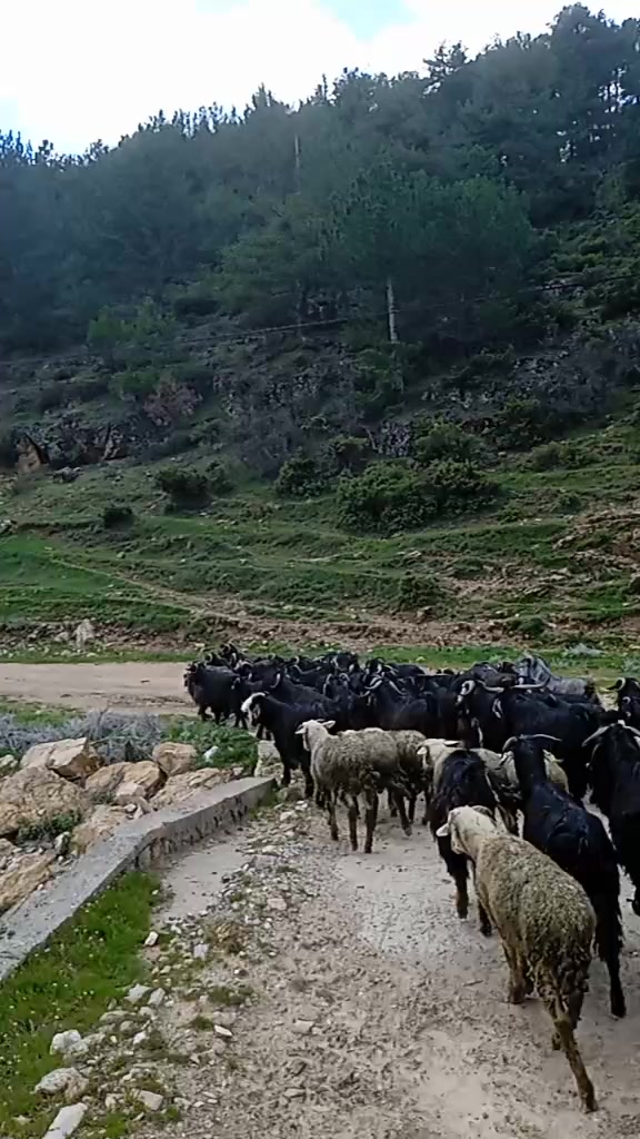 @Osman Eğilmez