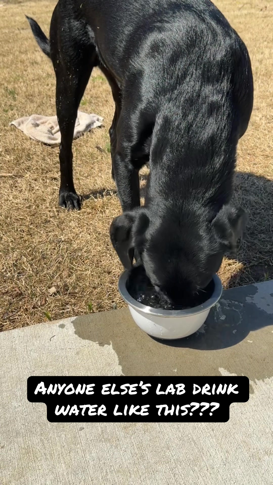 @ghostblacklab