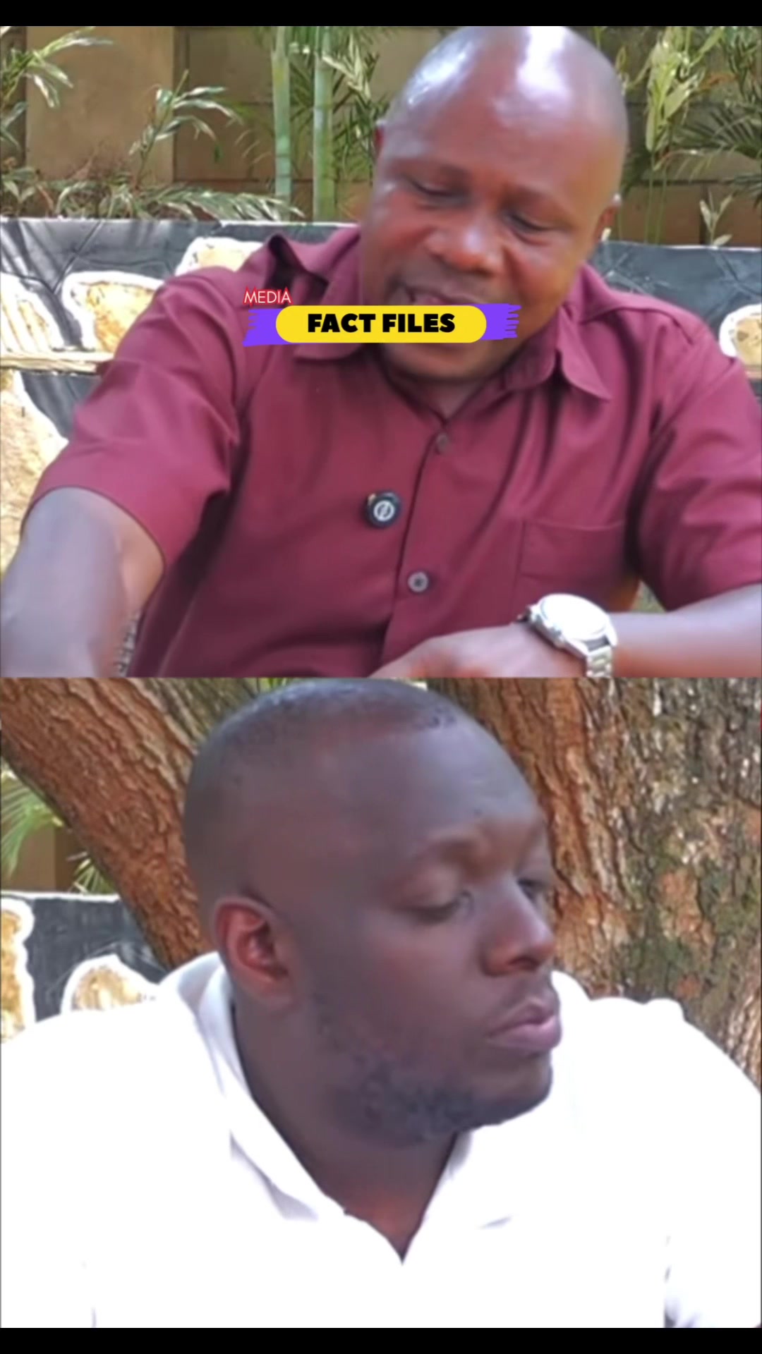 @FactFilesMedia