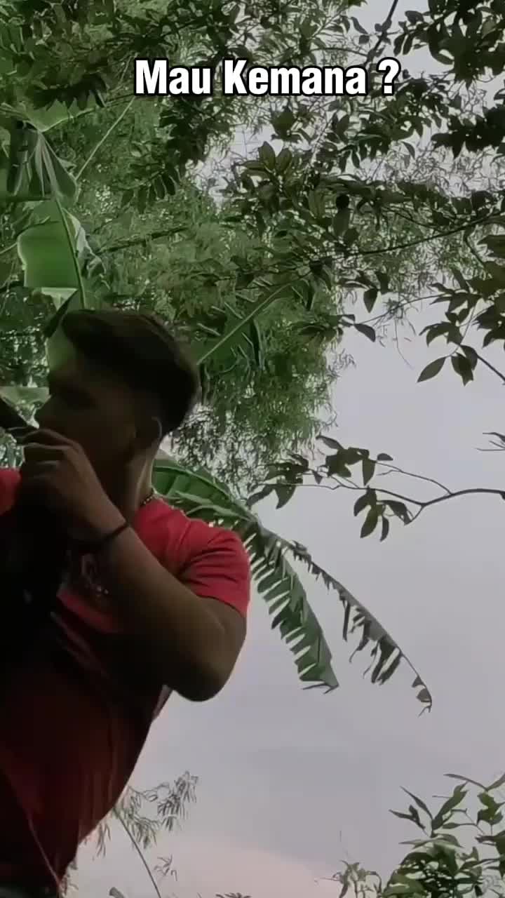 @user4953362161166