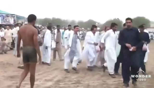 @amir_hanif_tiger_jhelum