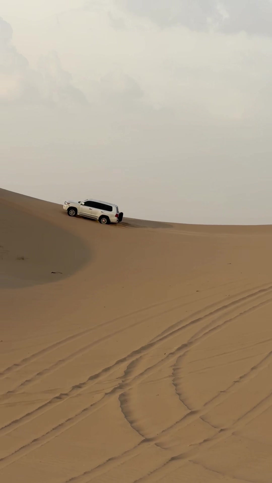 @ABDUL SAFARI ABUDHABI