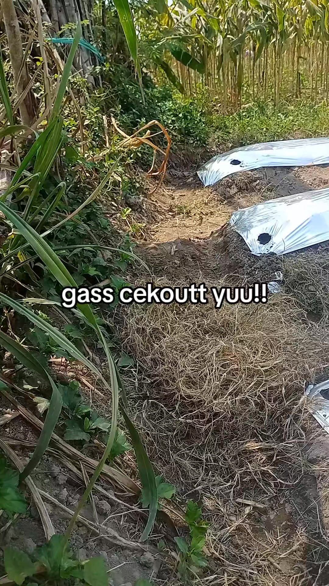 @smuabarang_ada
