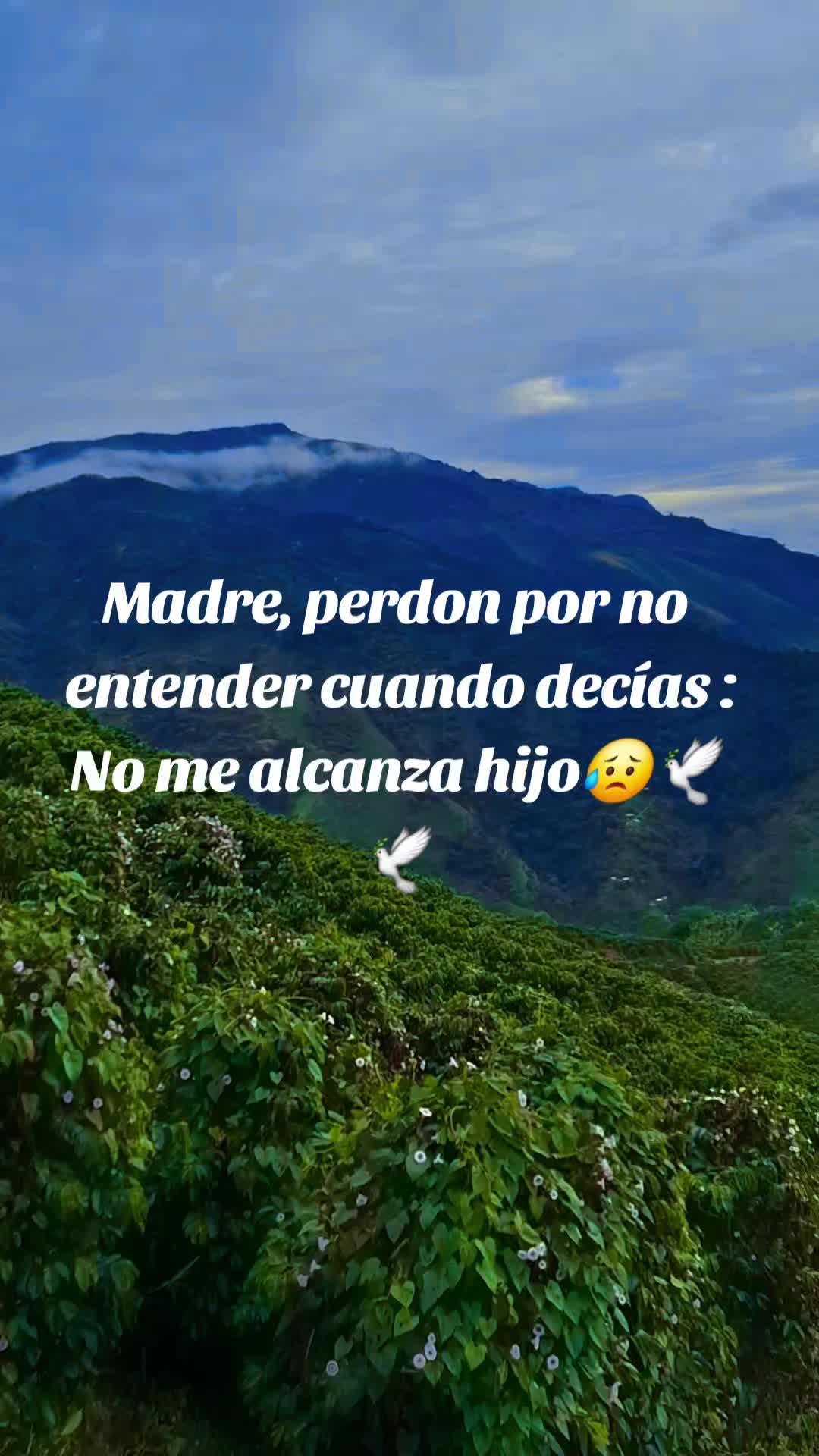@Fabián tibata