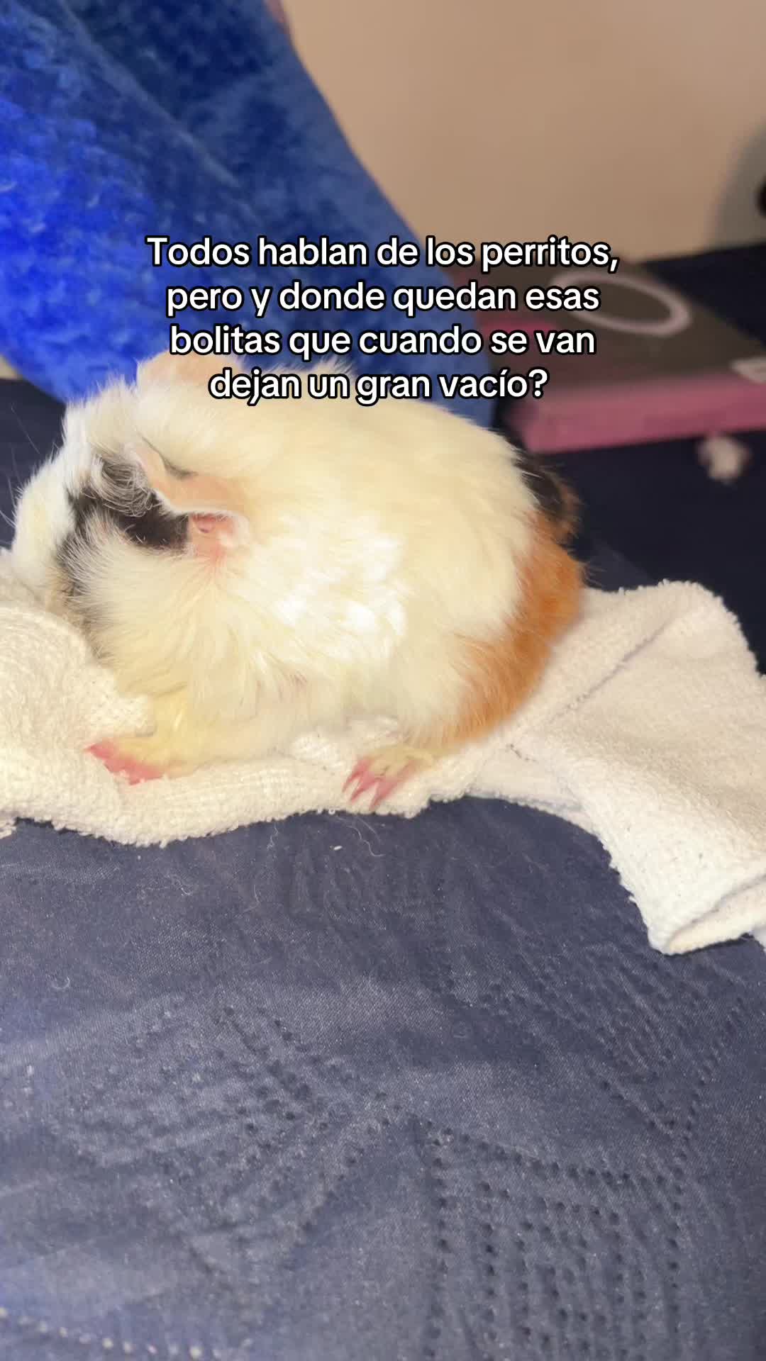 @heilen_loaiza.oficial