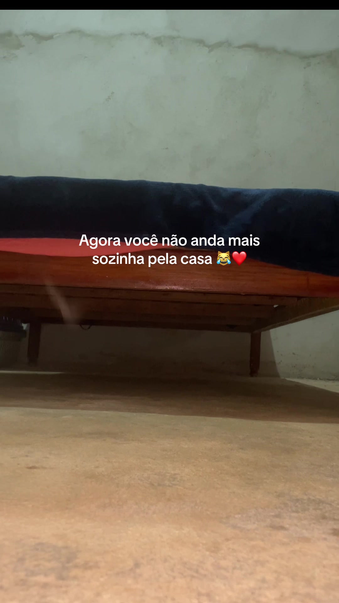 @Vih🫦