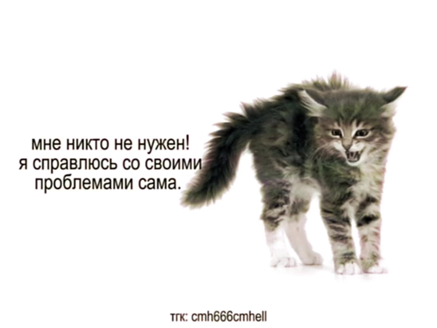 @𝐩𝐢𝐤𝐊𝐤$𝐞𝐋