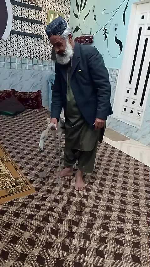 @rasheedbrohi232