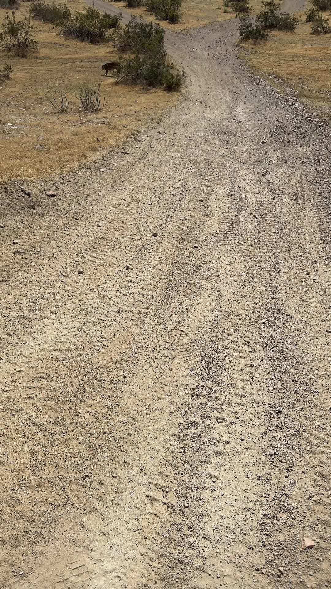 @Tubbieadventures90