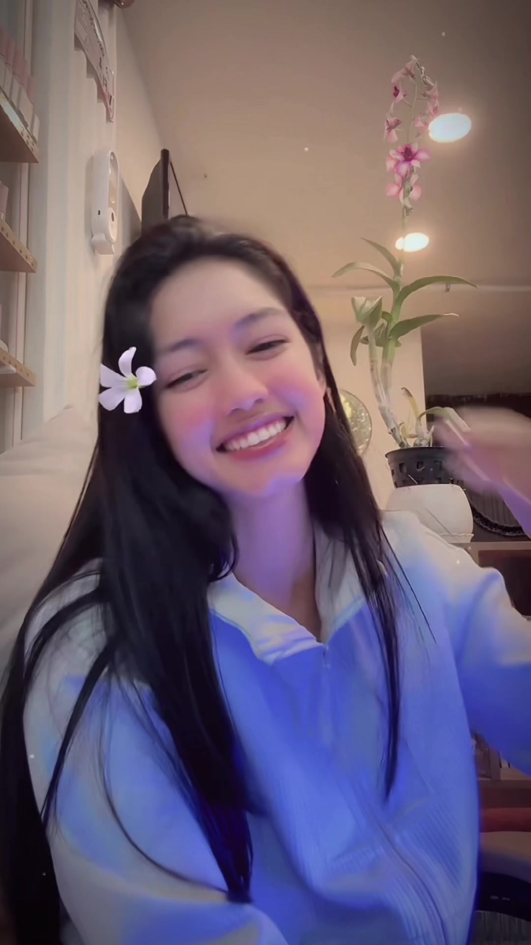 @Irene🦕