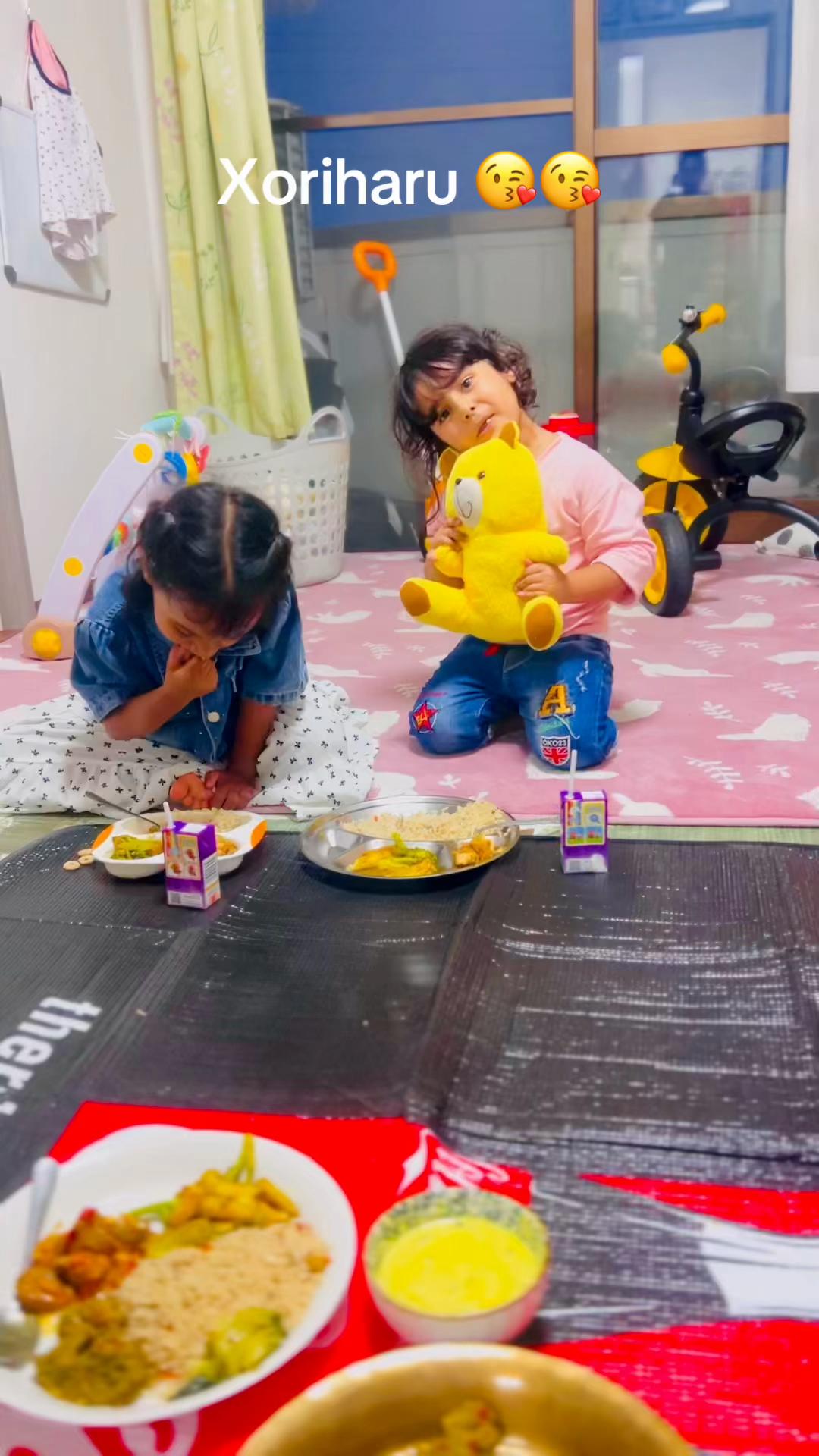 @susmitapanta325