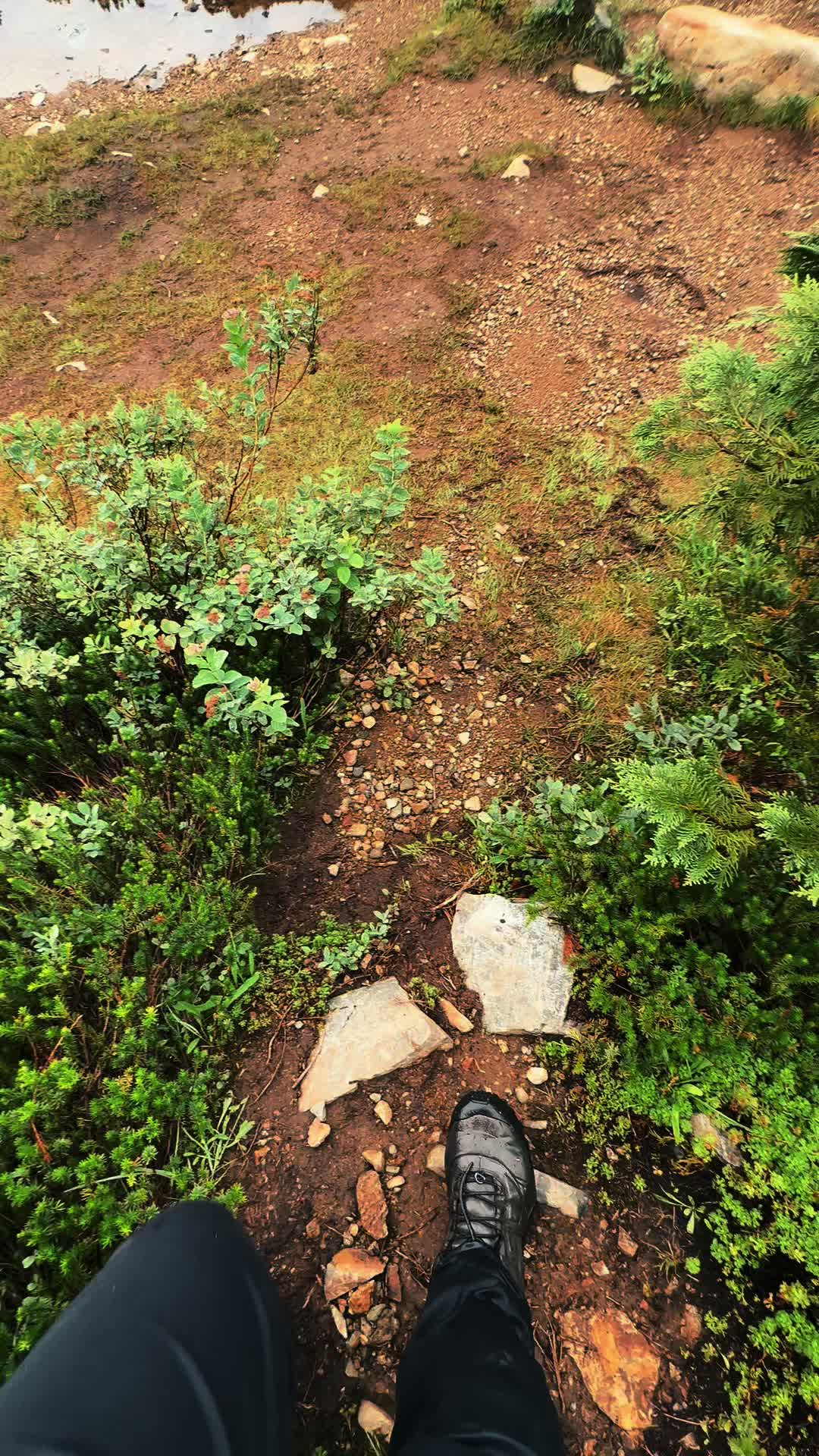 @🌲 James | WA 🏔️