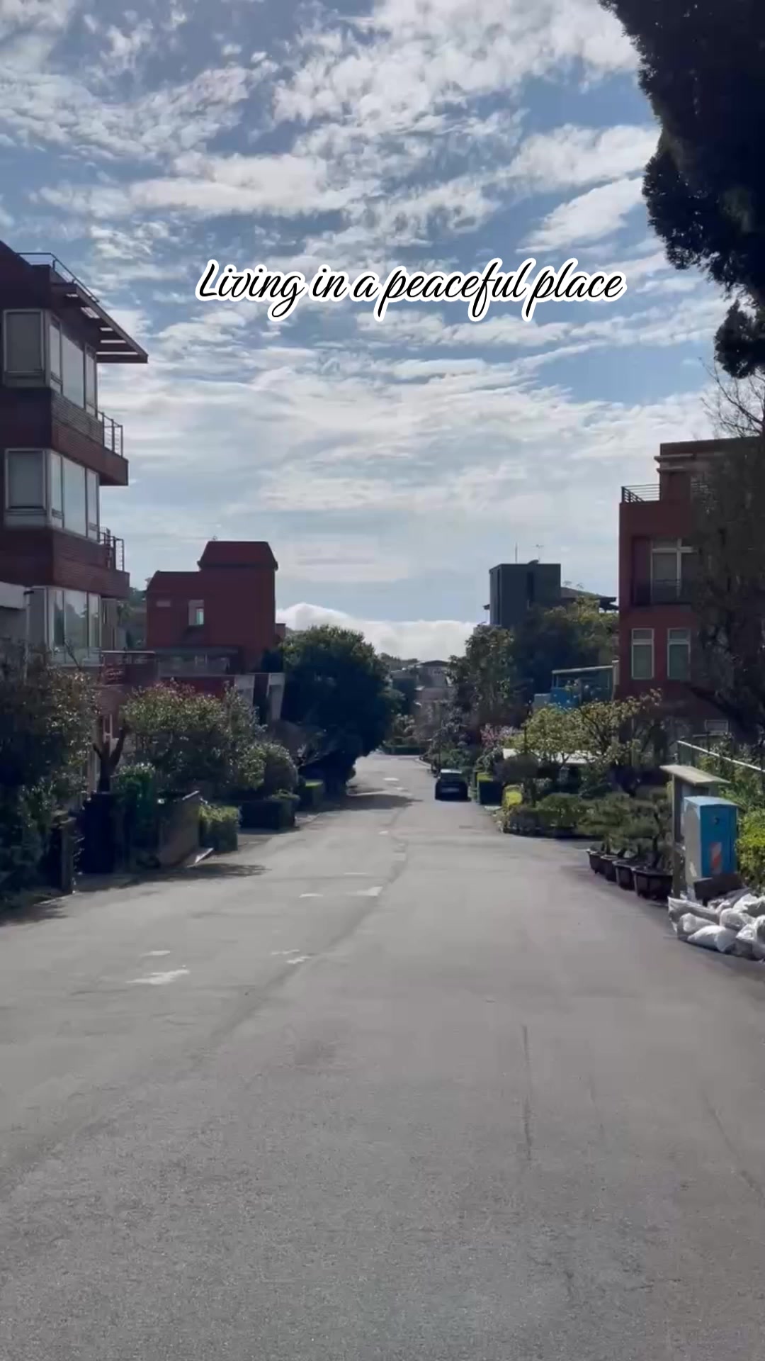@雀芮若