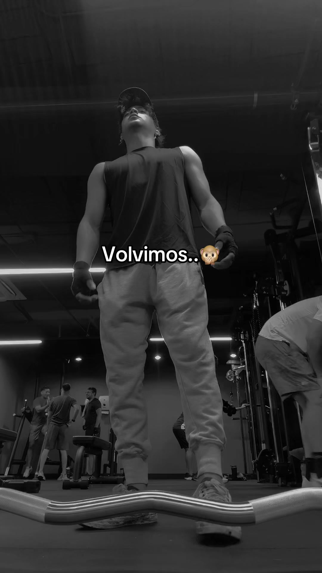 @Ronaldtc2🐺