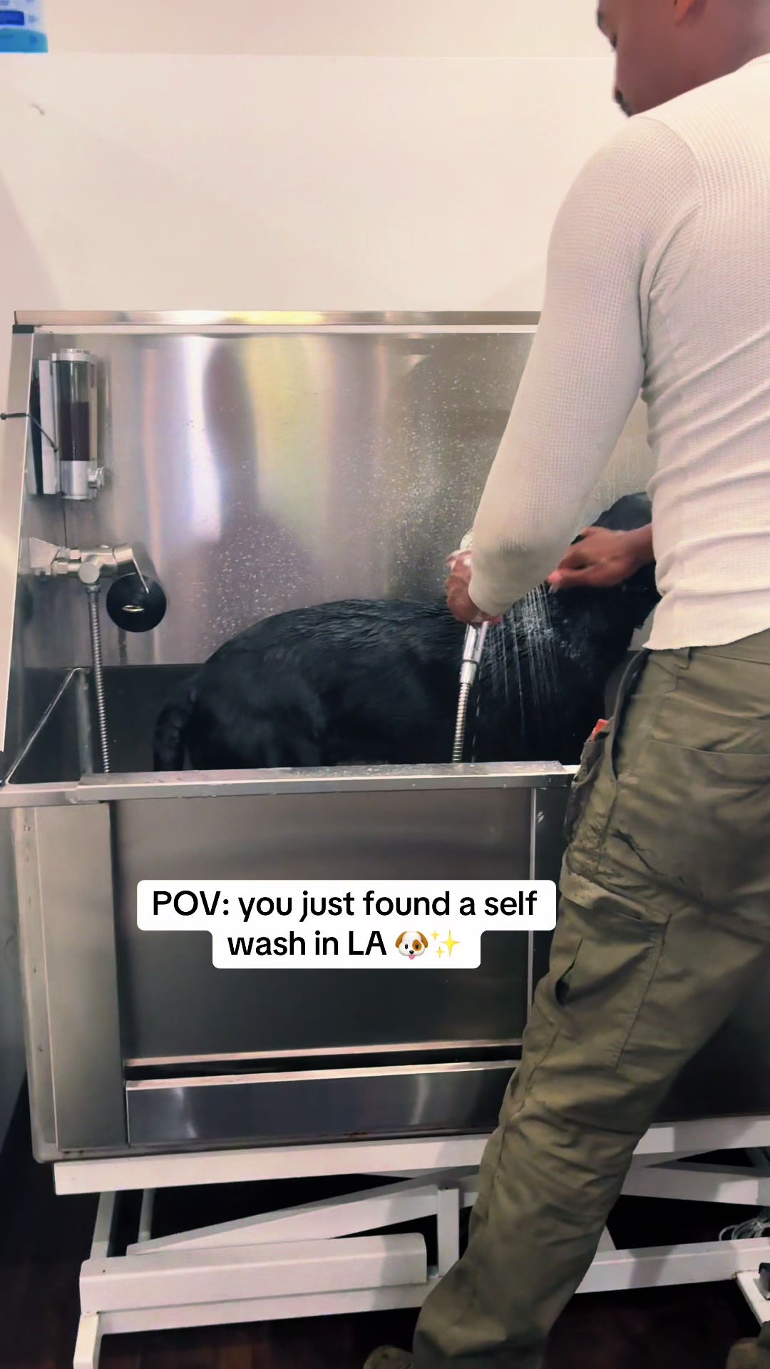 @dogwashla