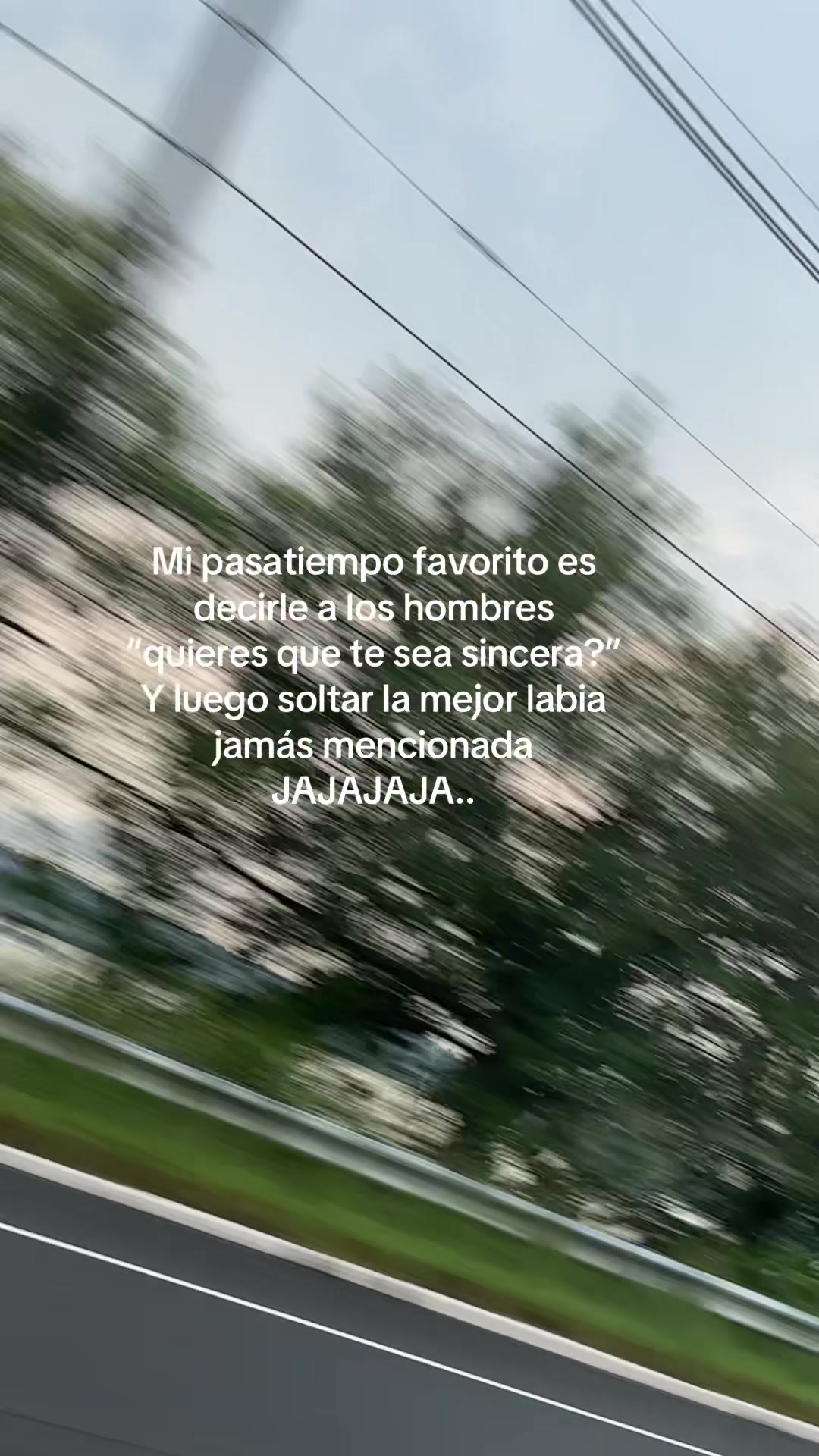 @Castillo 🦁🕸️🖤🕷️