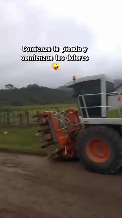 @Griselda Celeste Sos