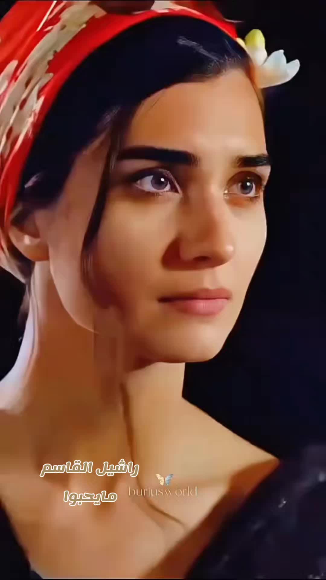 @راشيل القاسم