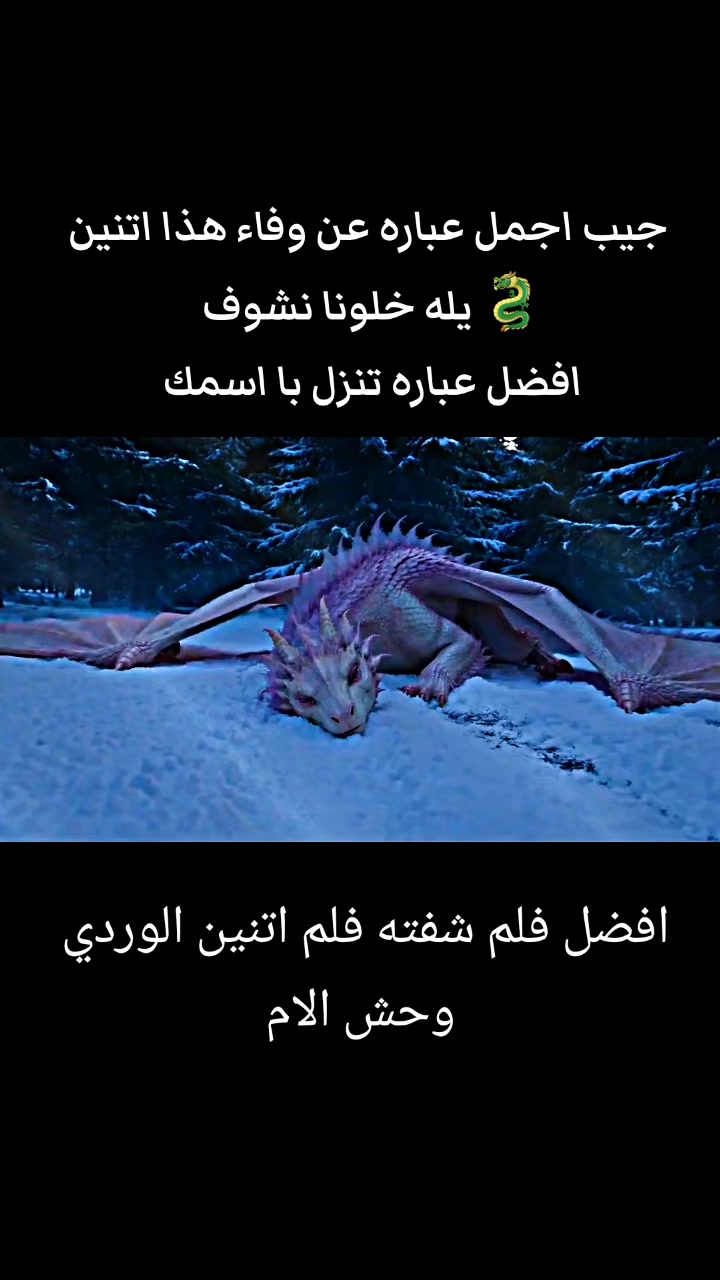 @صهيب الهمداني ✪2