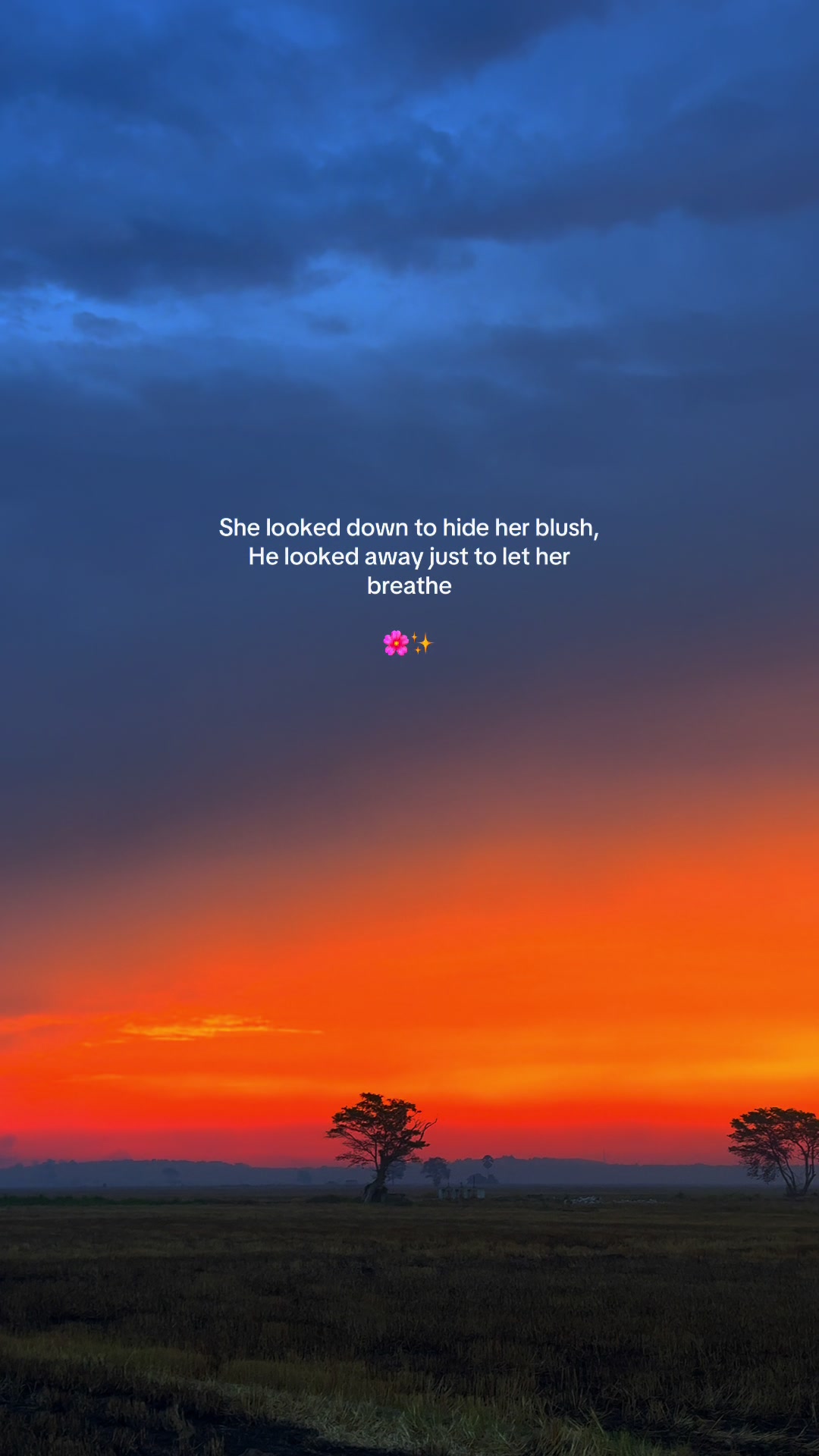 @Quotable_Vibes_