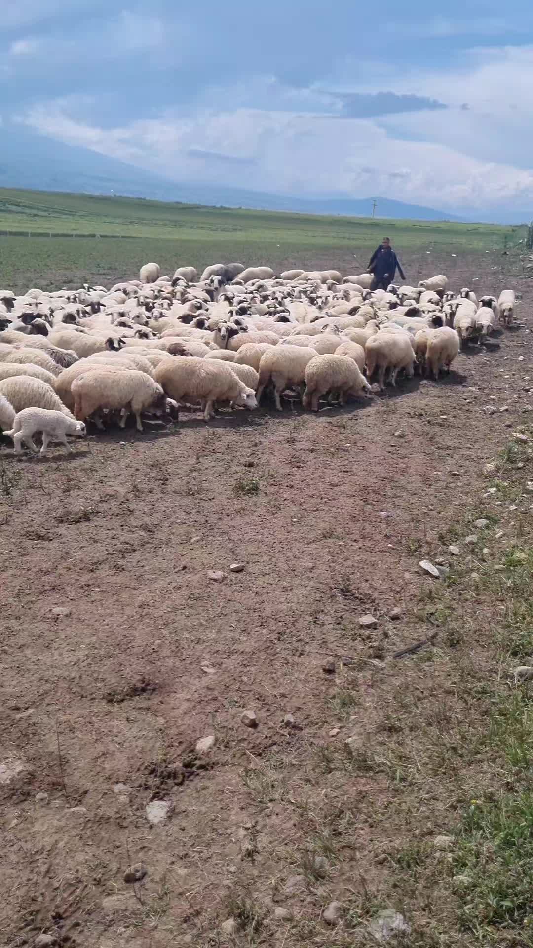 @Nry Güneş