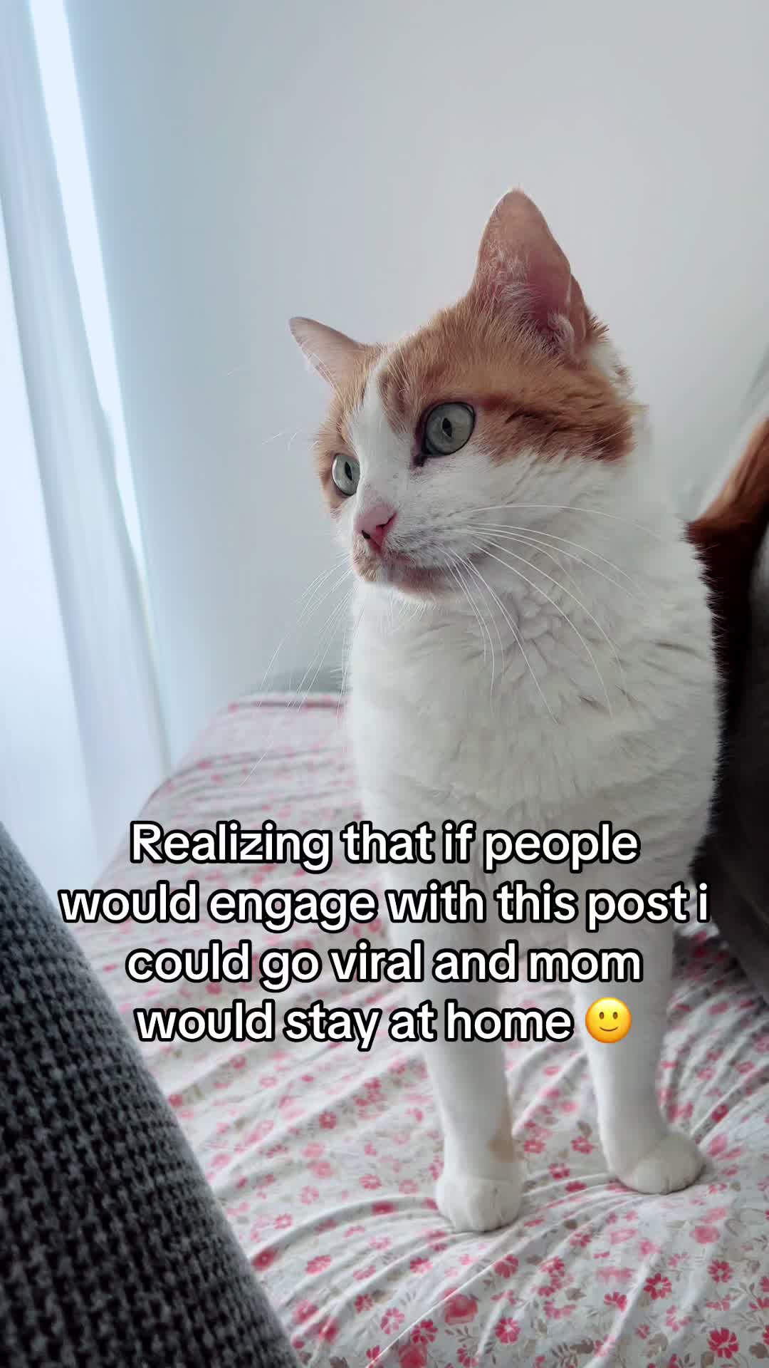 @Pawesome Family
