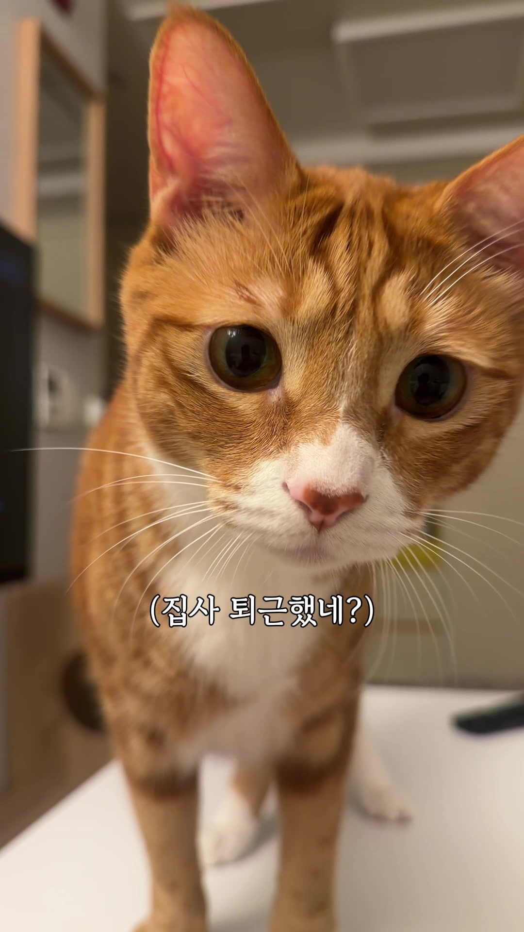 @뮤춘삼