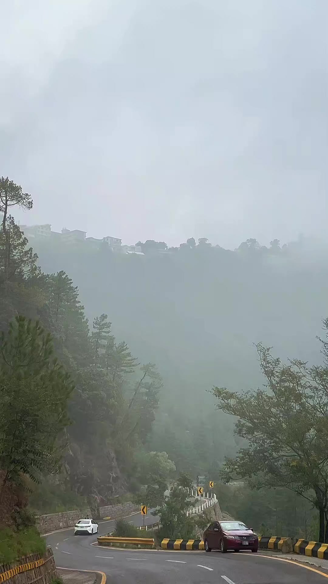 @Ꮆ ム ⲃ ᖇ υ 🐎