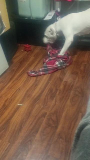 @🐾E-one 🌻Get🐕It♉ Done🪴