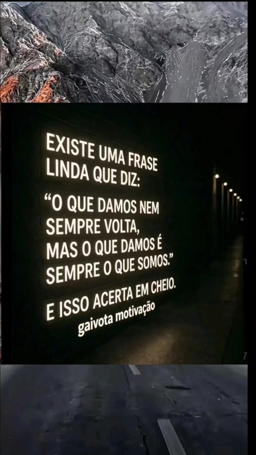 @Gaivota