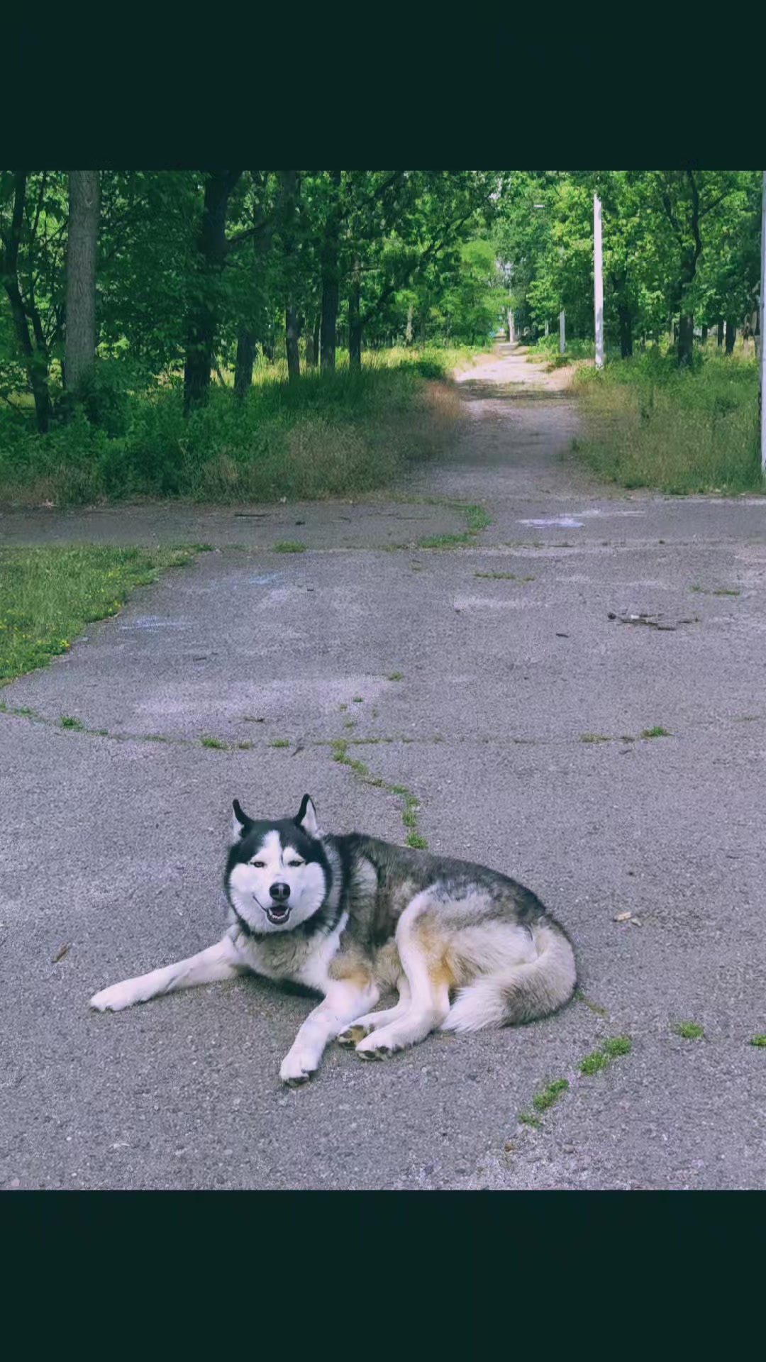 @𝔻𝕒𝕣𝕜_𝕙𝕦𝕤𝕜𝕪