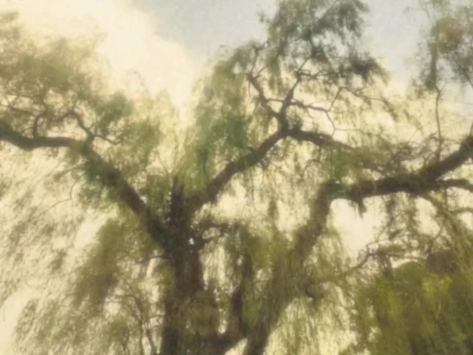 @𝘿𝙄𝙂𝙄𝙏𝘼𝙇𝙄𝙎