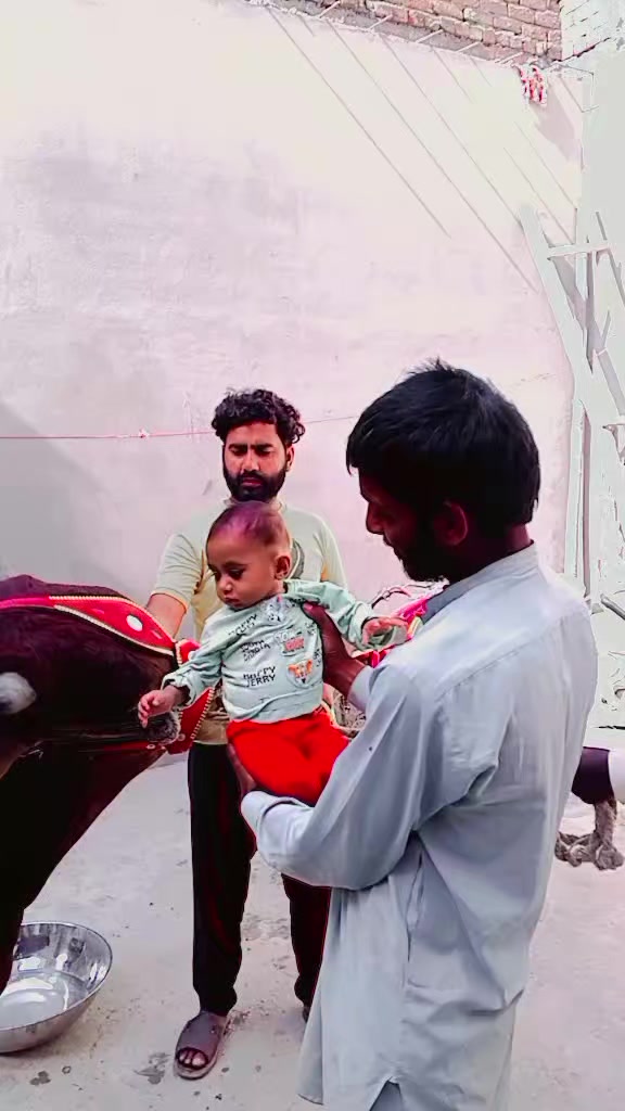 @😇گجر بادشاہ 👑