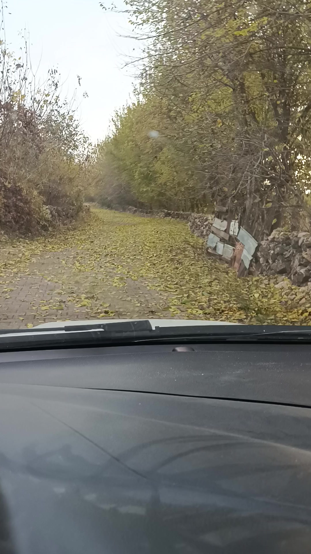 @Şahin Bezlek