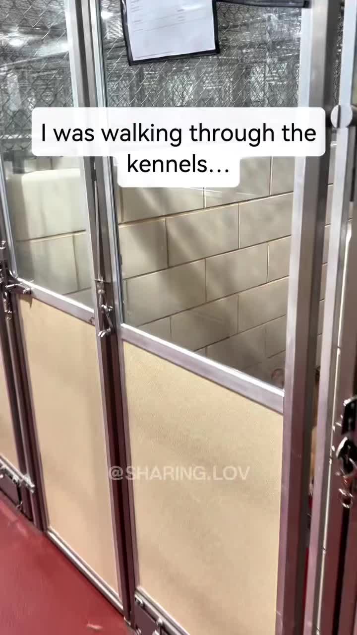 @mistermnn