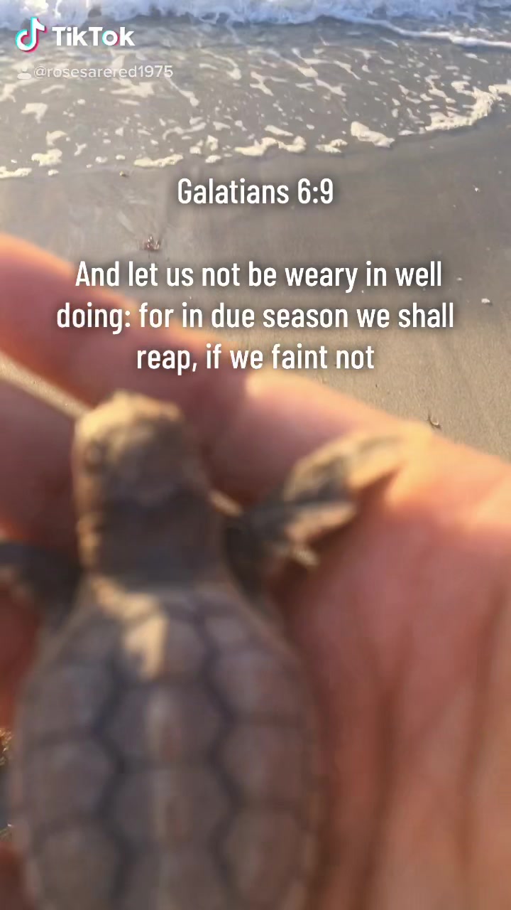 @I&rsquo;m Rose, a Follower Of Christ