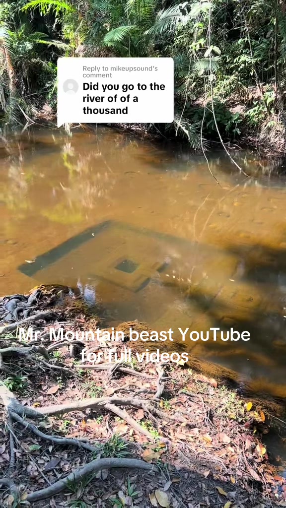 @Mr.mountainbeast