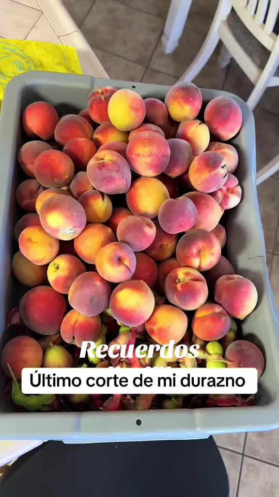 @Adriana Castellanos
