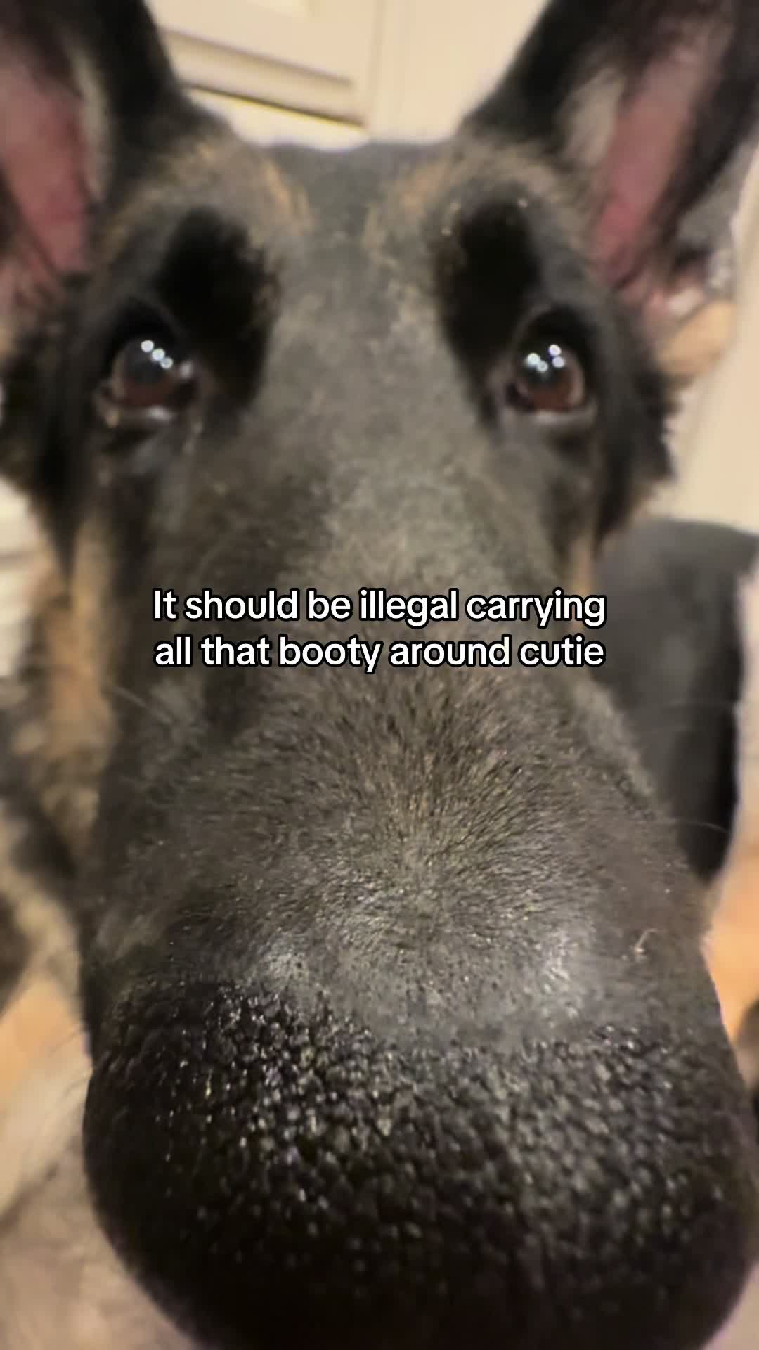 @Bhris