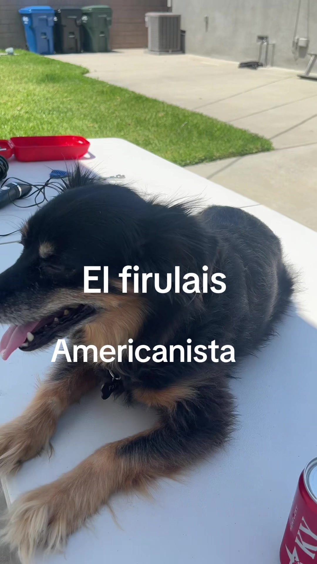 @Juanele