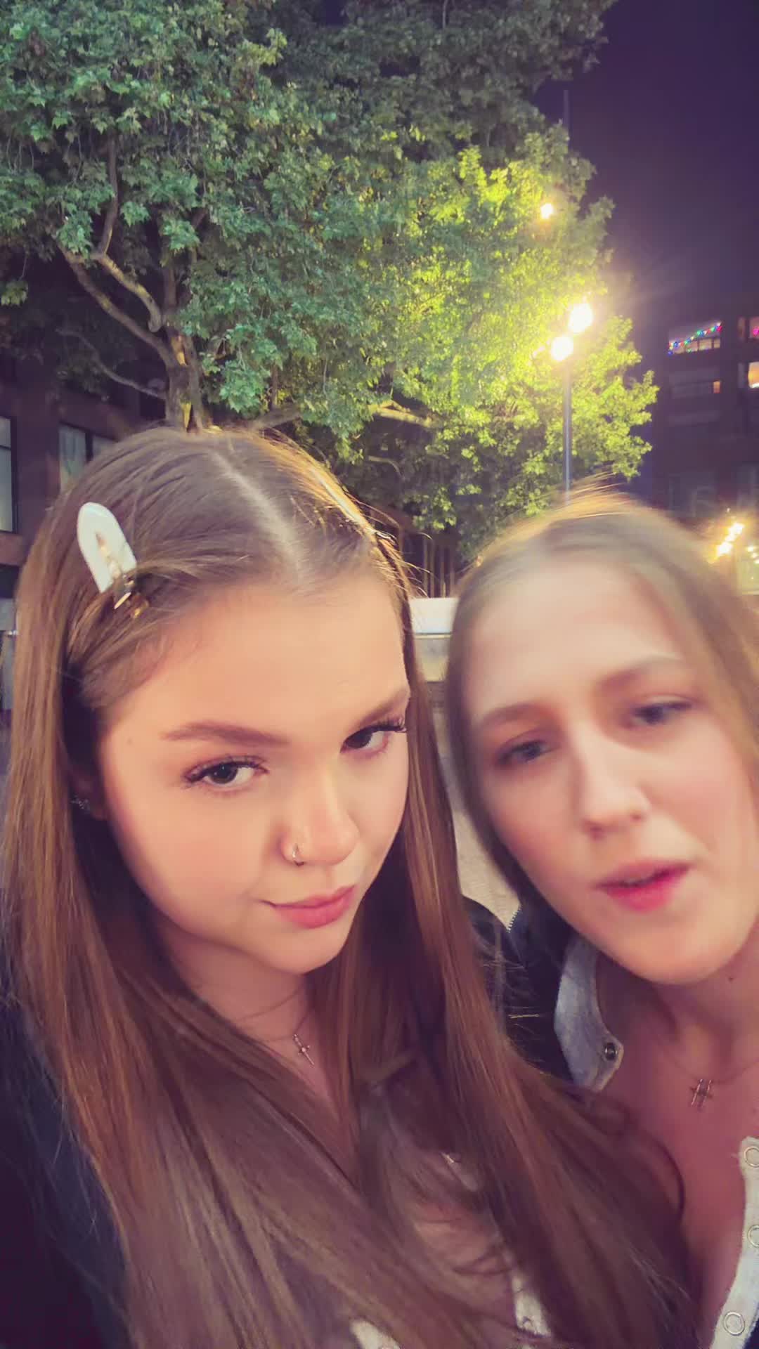 @hamsters